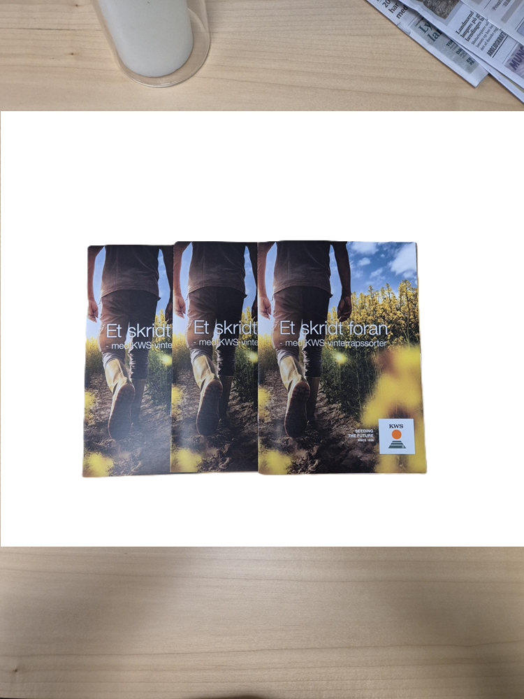 Rapskatalog_2025.png