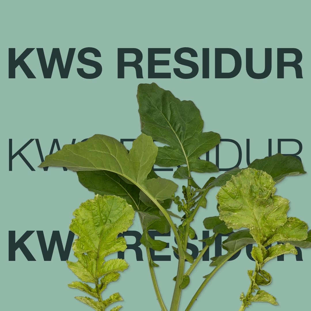 kws_residur_keyvisual_dk_1x1_1.jpg