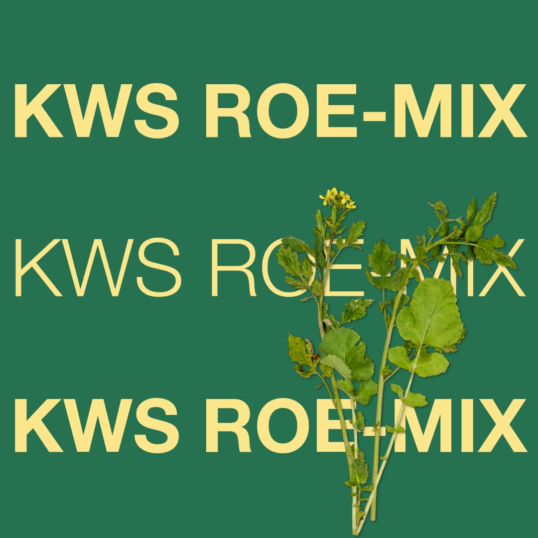 kws_roe_mix_keyvisual_dk_1x1_1.jpg