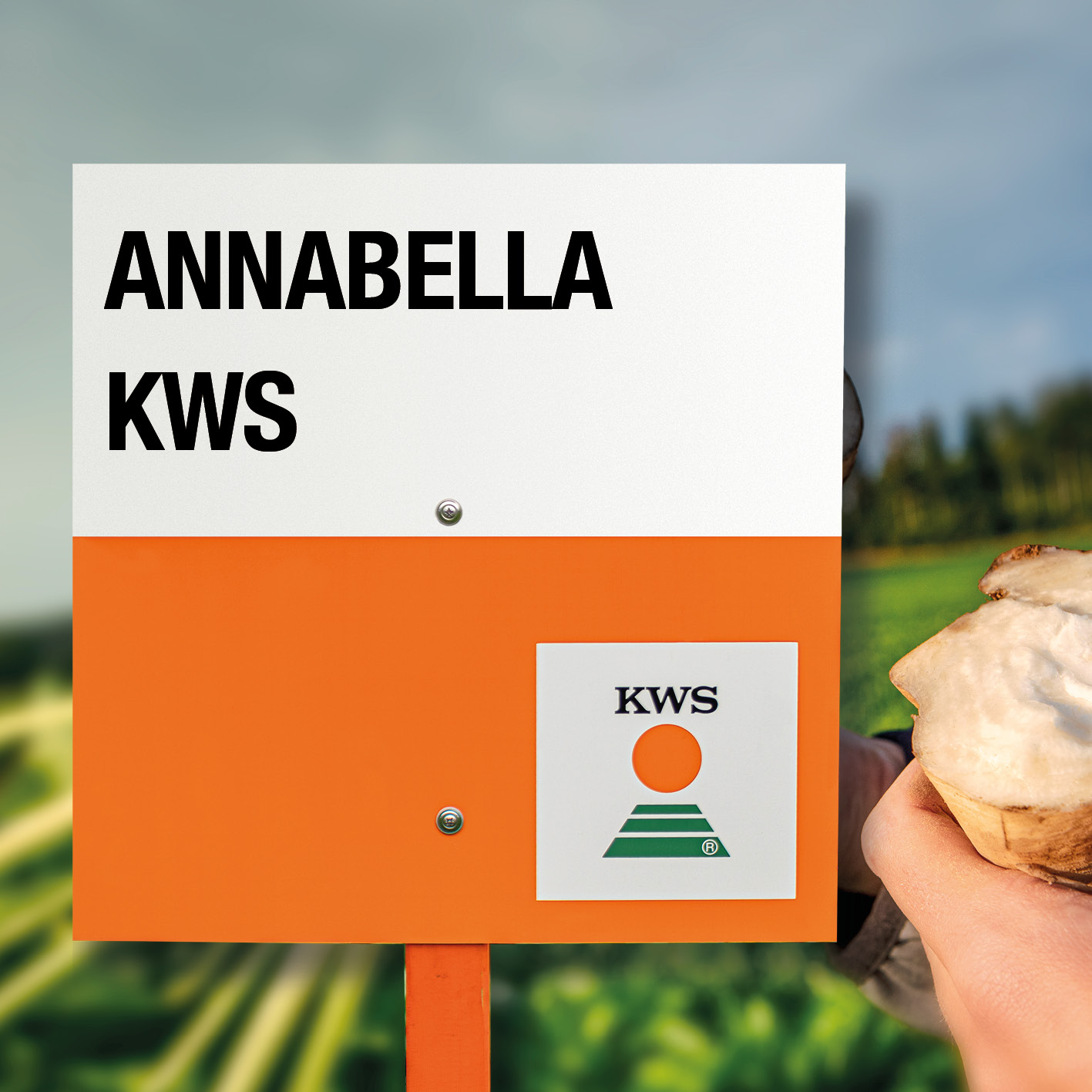 ANNABELLA-KWS_ES.jpg