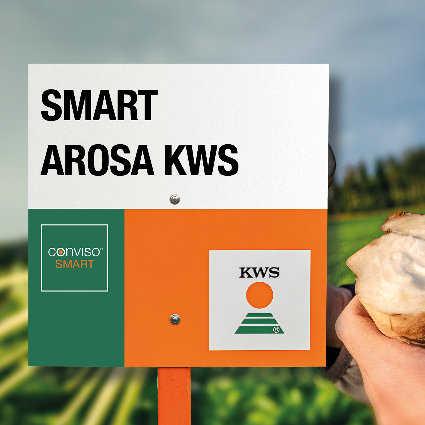 SMART-AROSA-KWS_ES.jpg