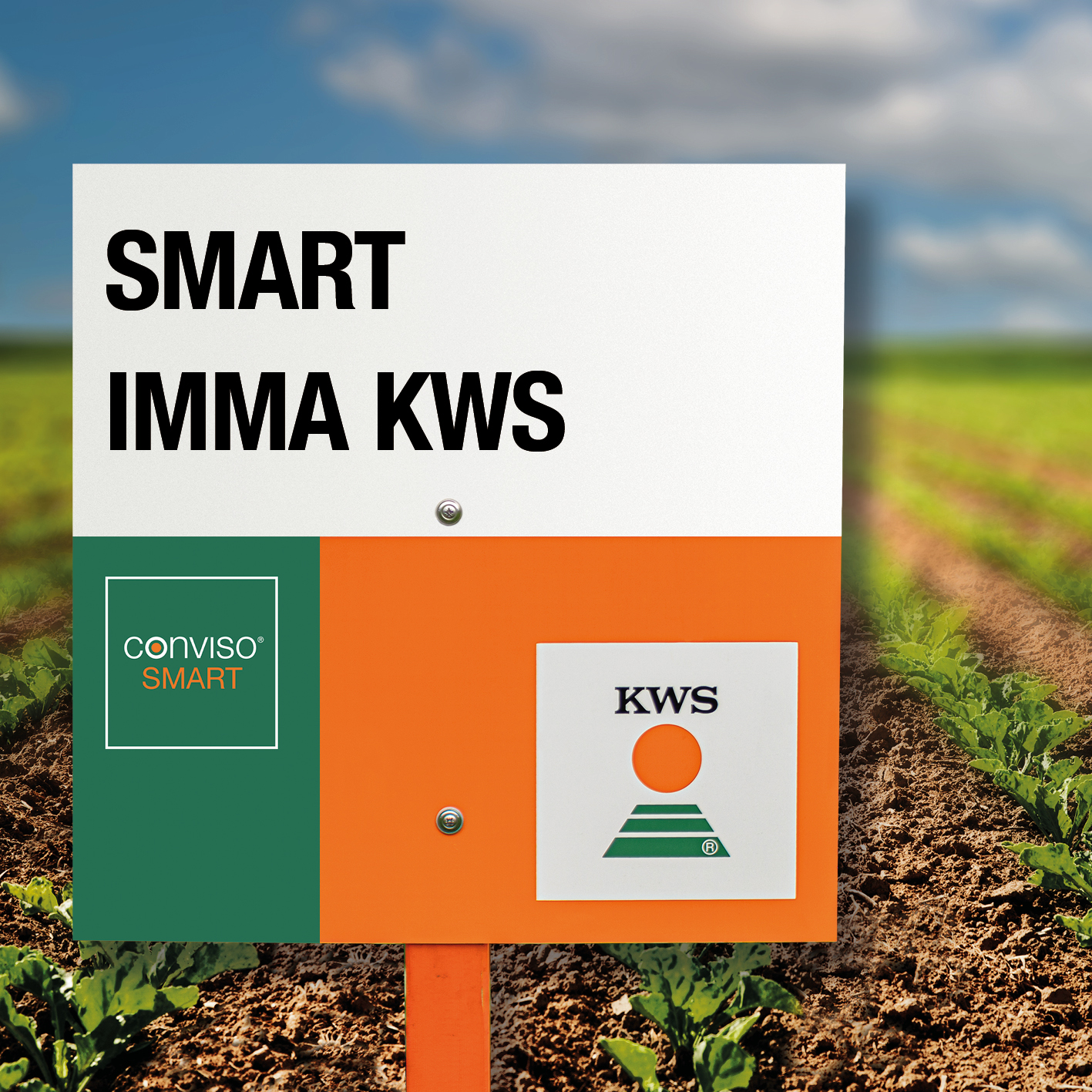 SMART-IMMA-KWS_ES.jpg