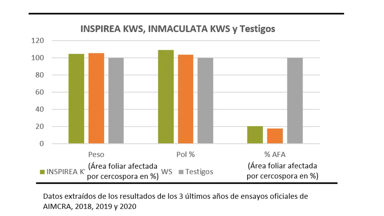 IMMACULATA_INSPIREA-KWS-_grafik.jpg