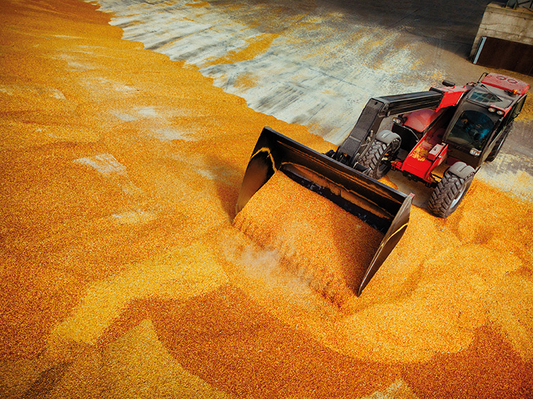 EXPECT-MORE_grain_storage.jpg