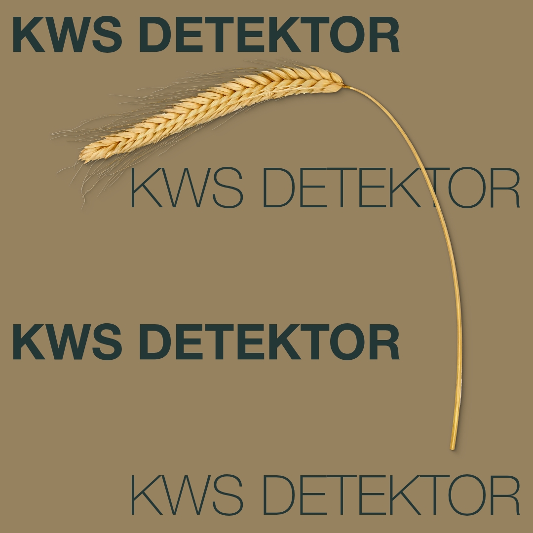 KWS_DETEKTOR_Keyvisual_FI_1x1.jpg