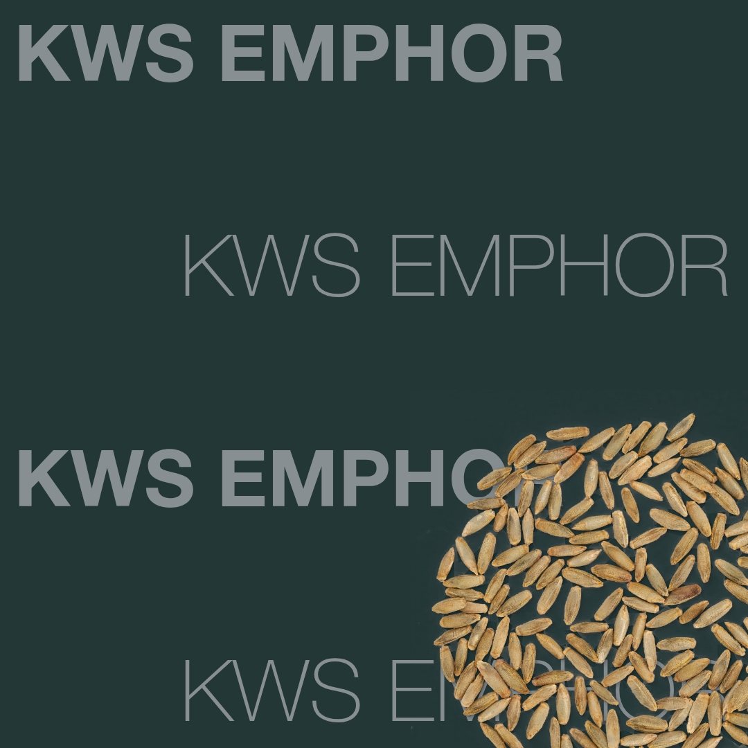 KWS_EMPHOR_Keyvisual_FI_1x1.jpg