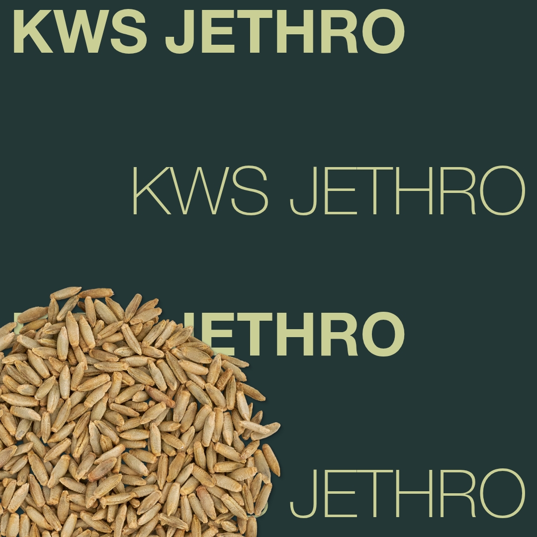 KWS_JETHRO_Keyvisual_FI_1x1_1.jpg
