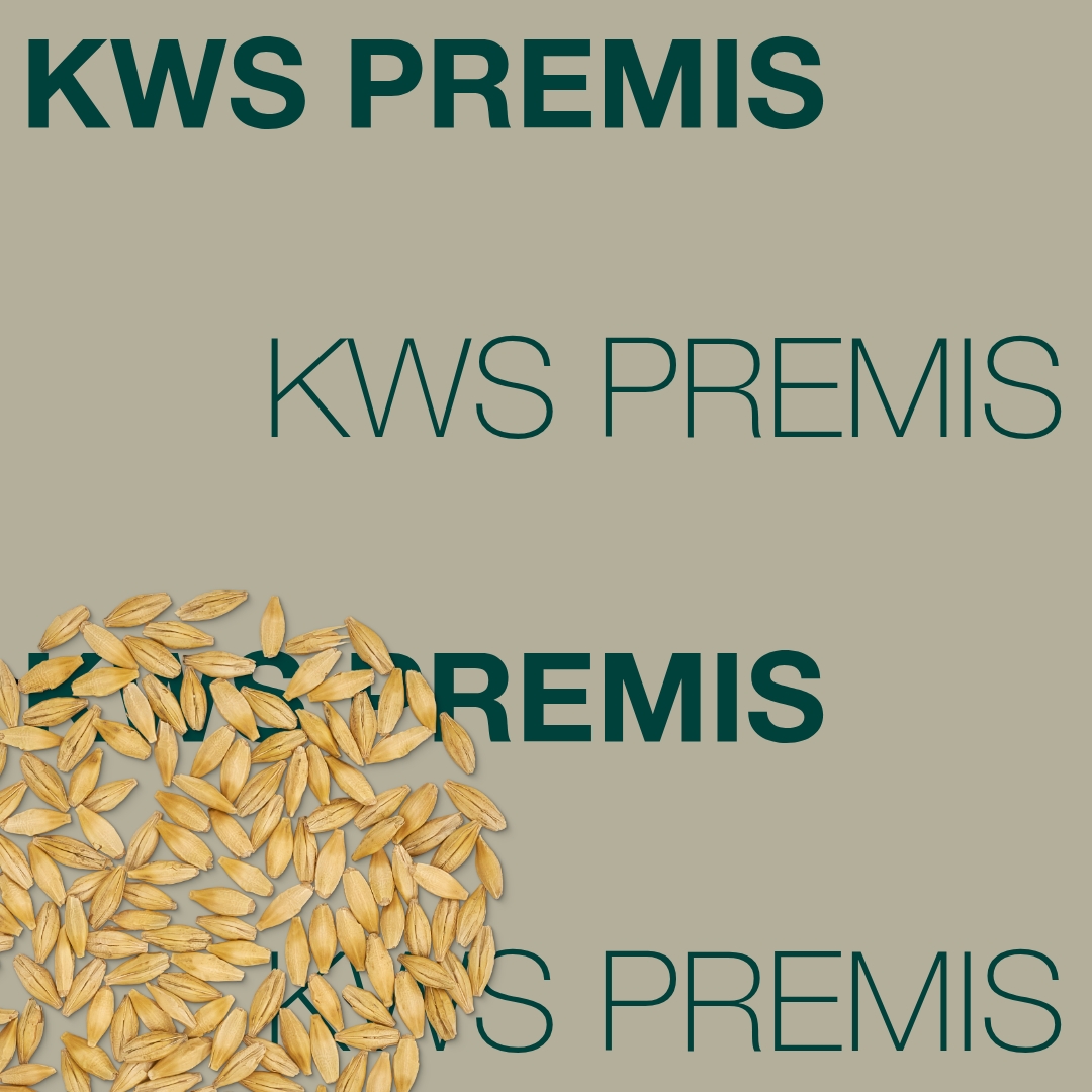 KWS_PREMIS_Keyvisual_FI_1x1.jpg
