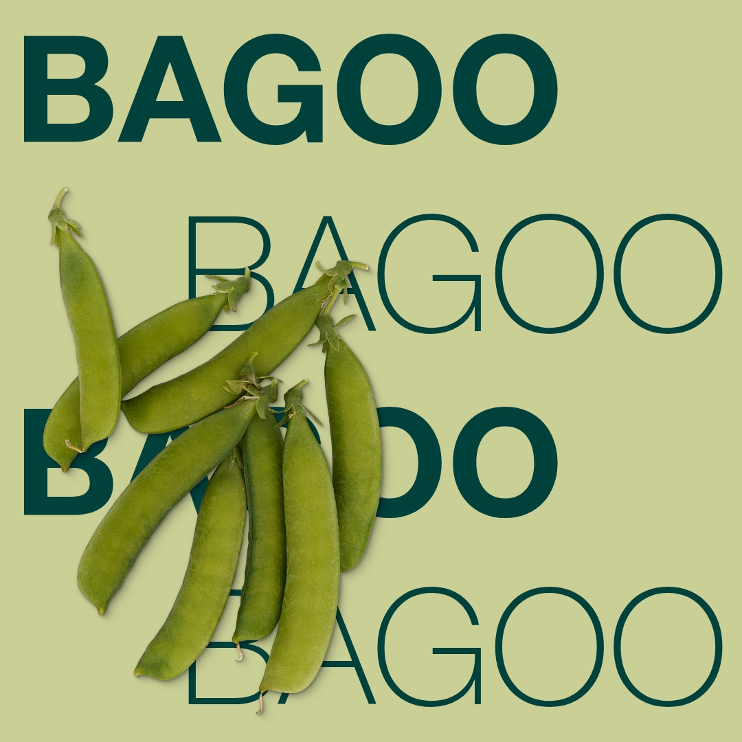 BAGOO_Keyvisual_FI_1x1.jpg
