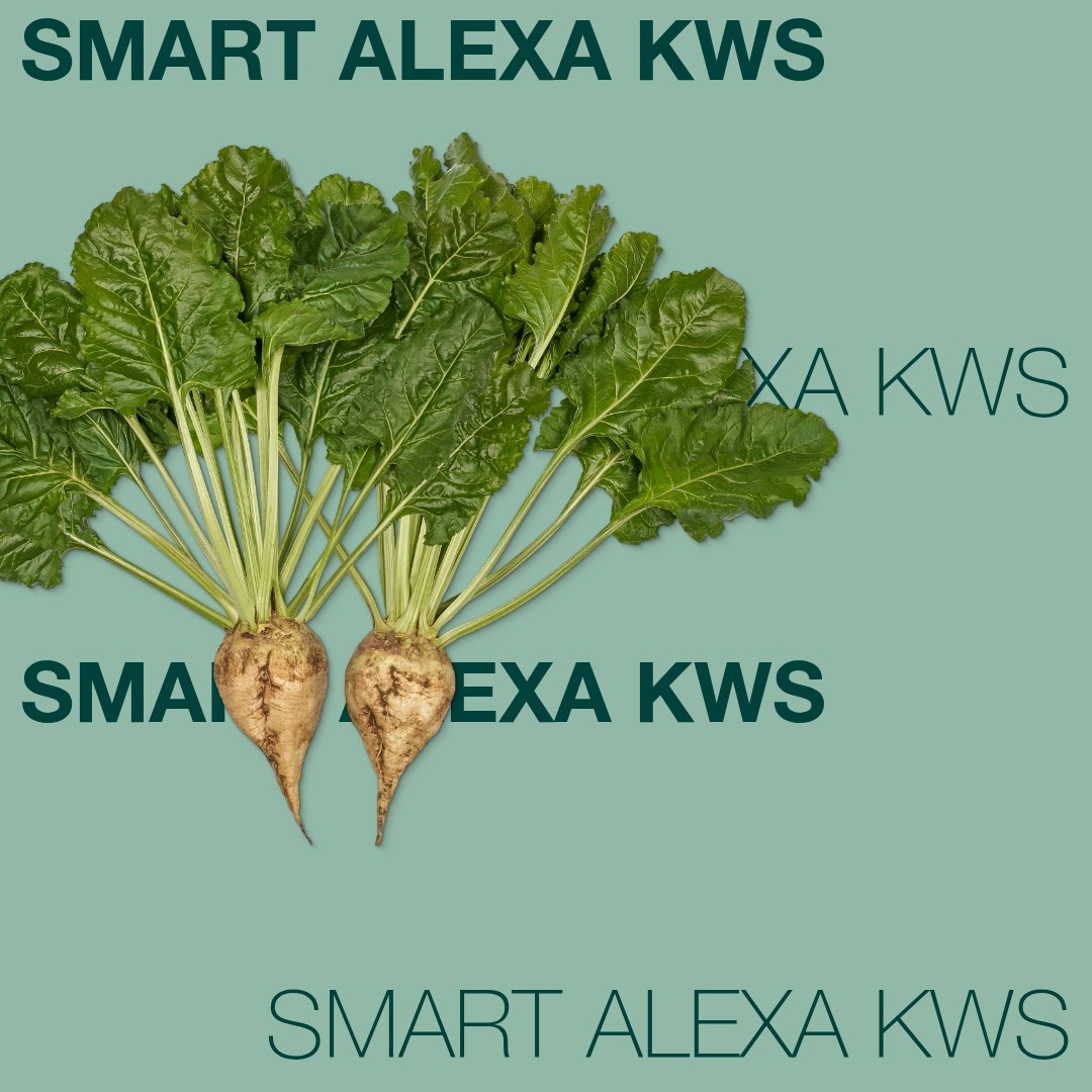 SMART_ALEXA_KWS_Keyvisual_FI_1x1_1.jpg