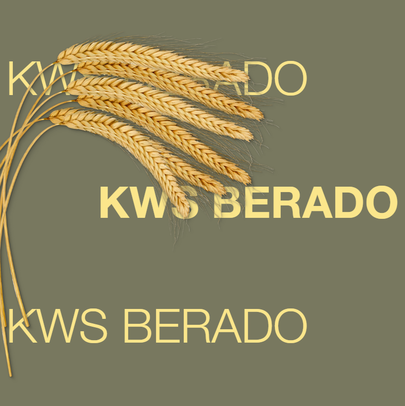 Clipping_KWS_BERADO_2026.png