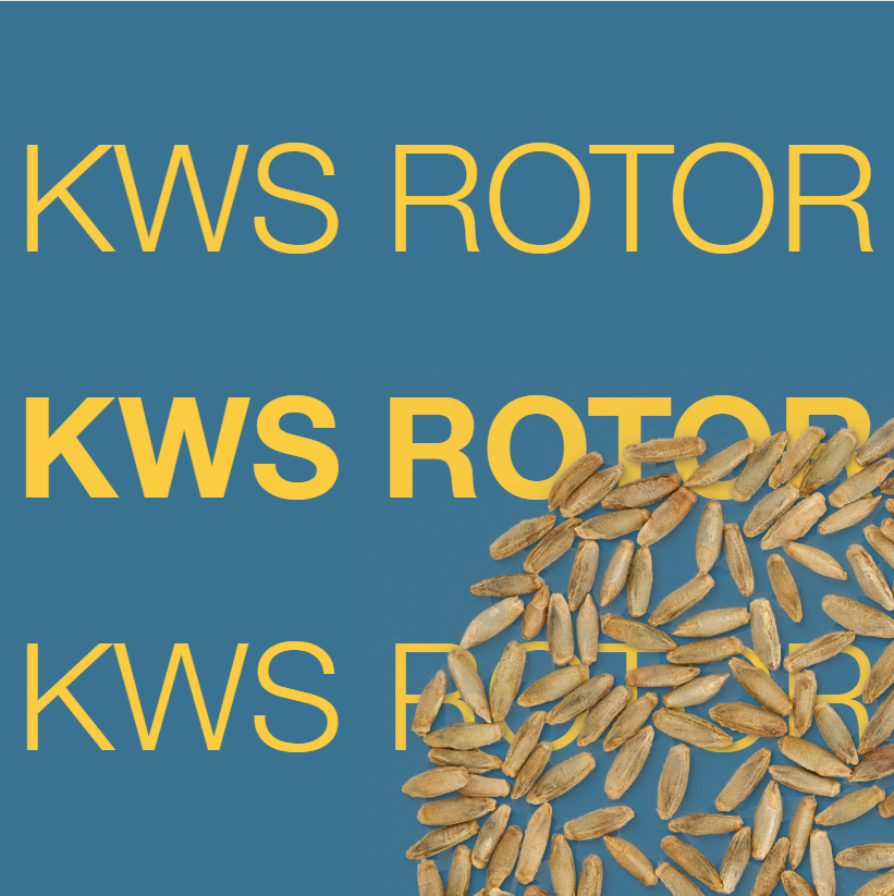 Clipping_KWS_ROTOR_2026.png