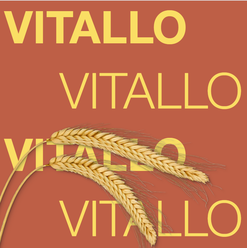 Clipping_VITALLO_2026.png