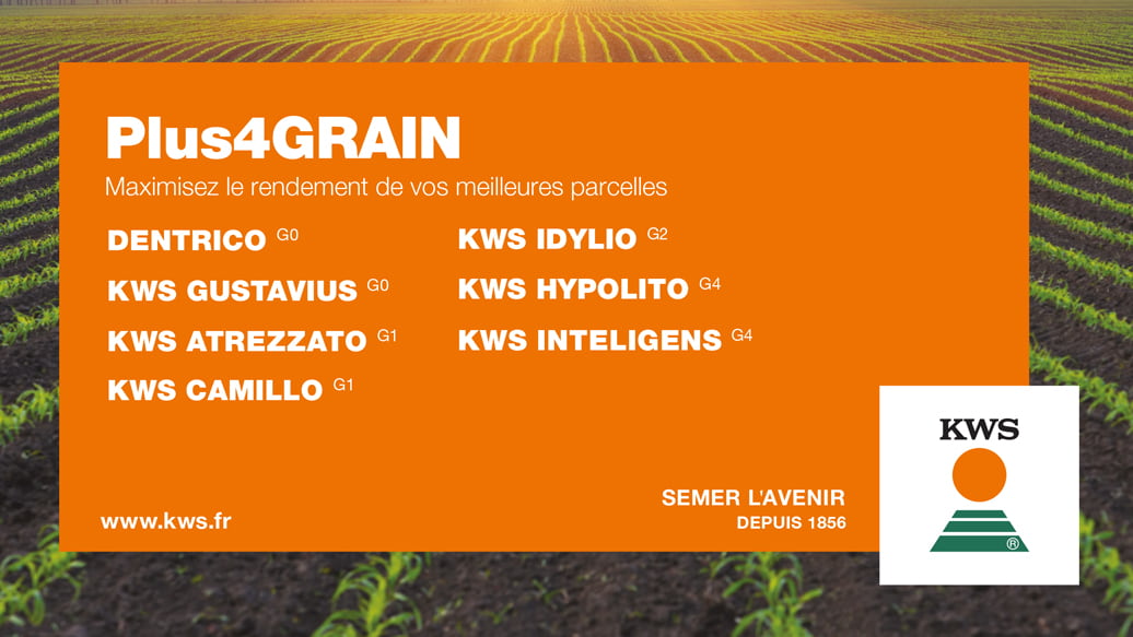 PLUS4GRAIN, pour PLUS de rendement en maïs grain