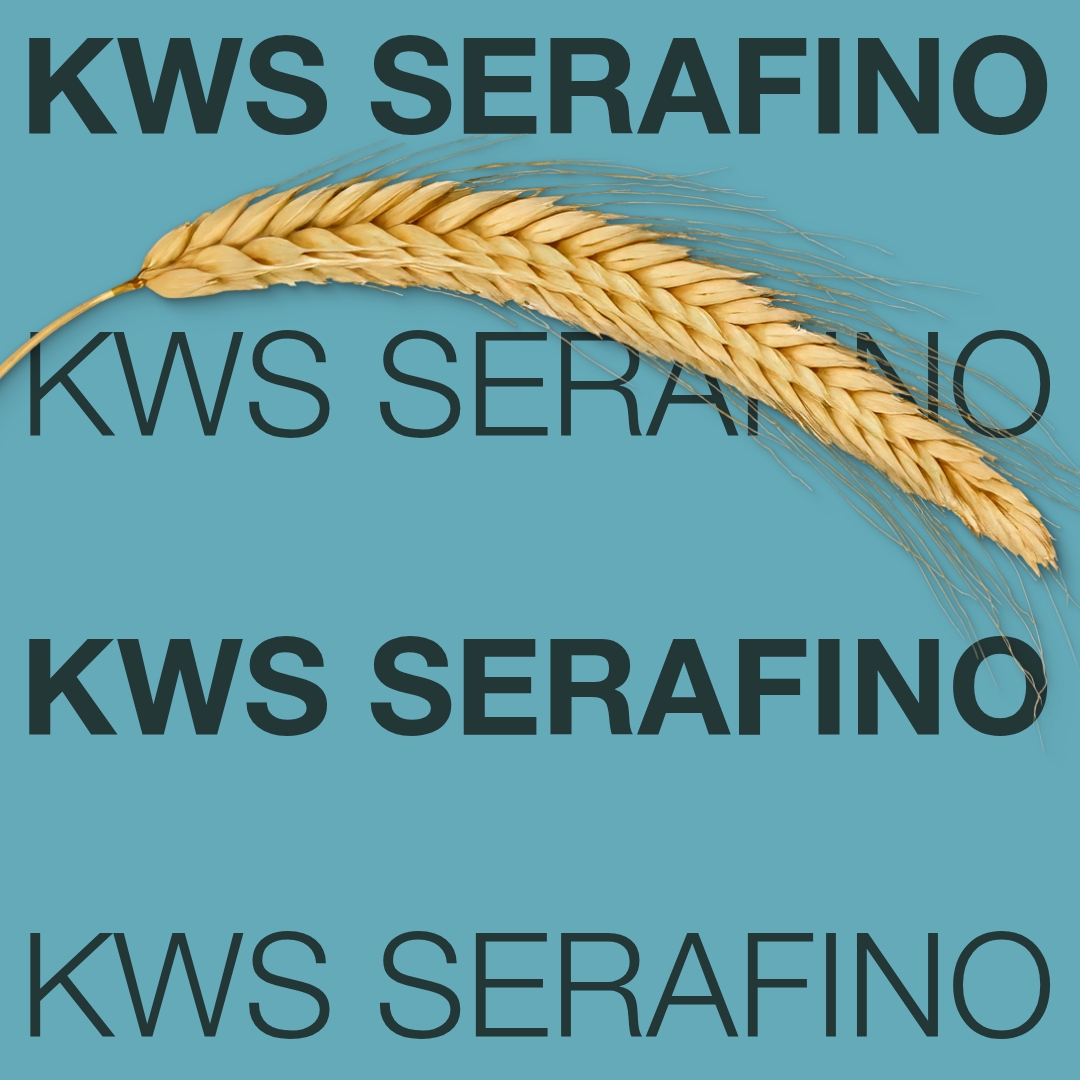 kws_serafino_keyvisual_hu_1x1_1.jpg