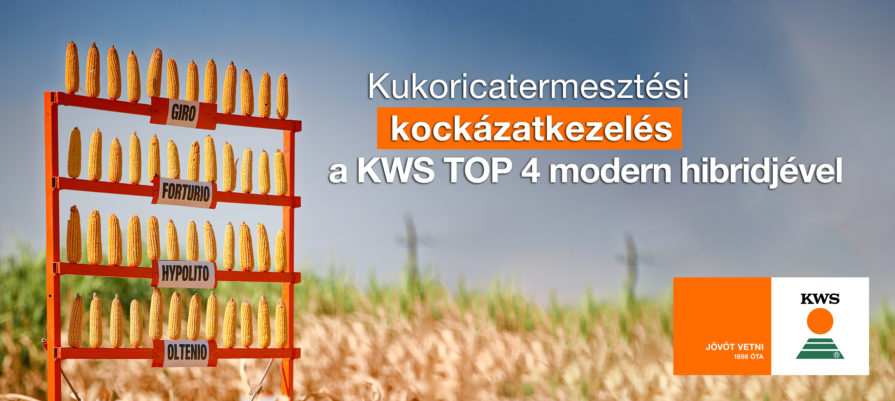 kws_top4_news_m_trix_head.jpg