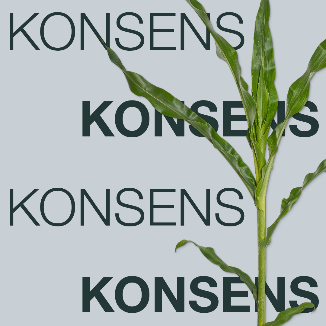 konsens_keyvisual_sk_1x1_1.jpg