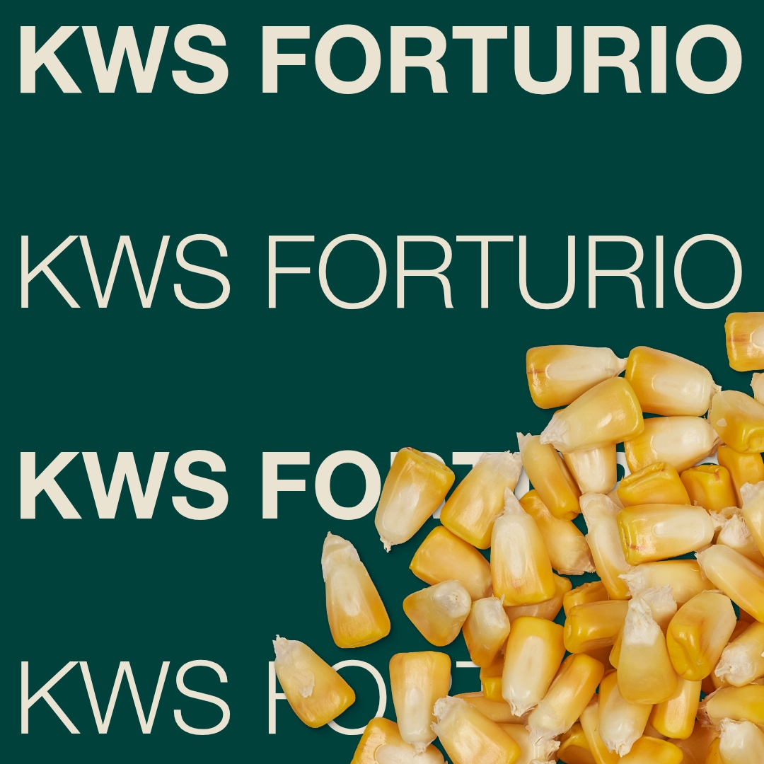kws_forturio_keyvisual_sk_1x1_1.jpg