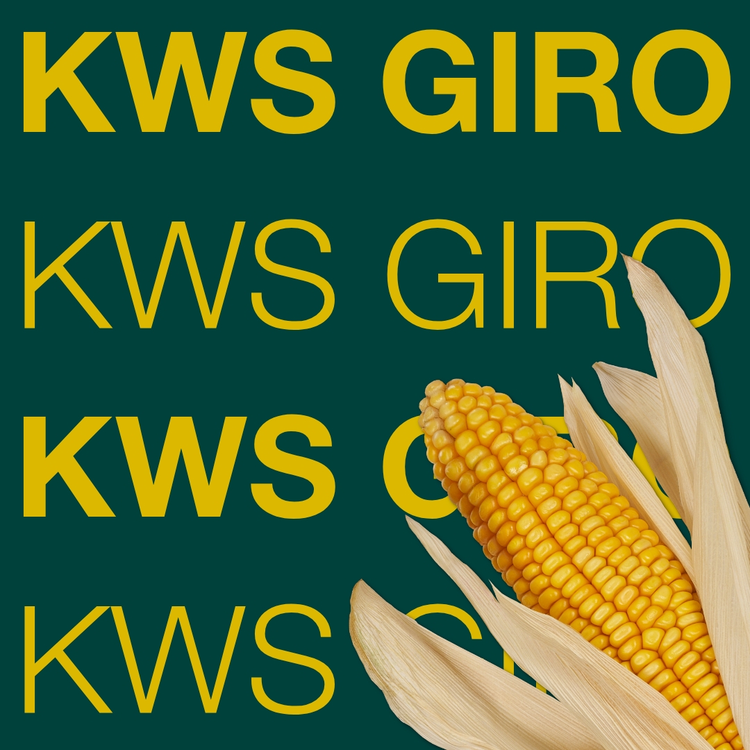 kws_giro_keyvisual_hu_1x1.jpg