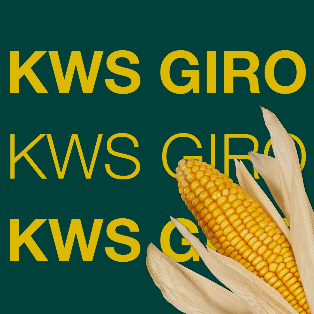 kws_giro_keyvisual_rs_1x1_1.jpg