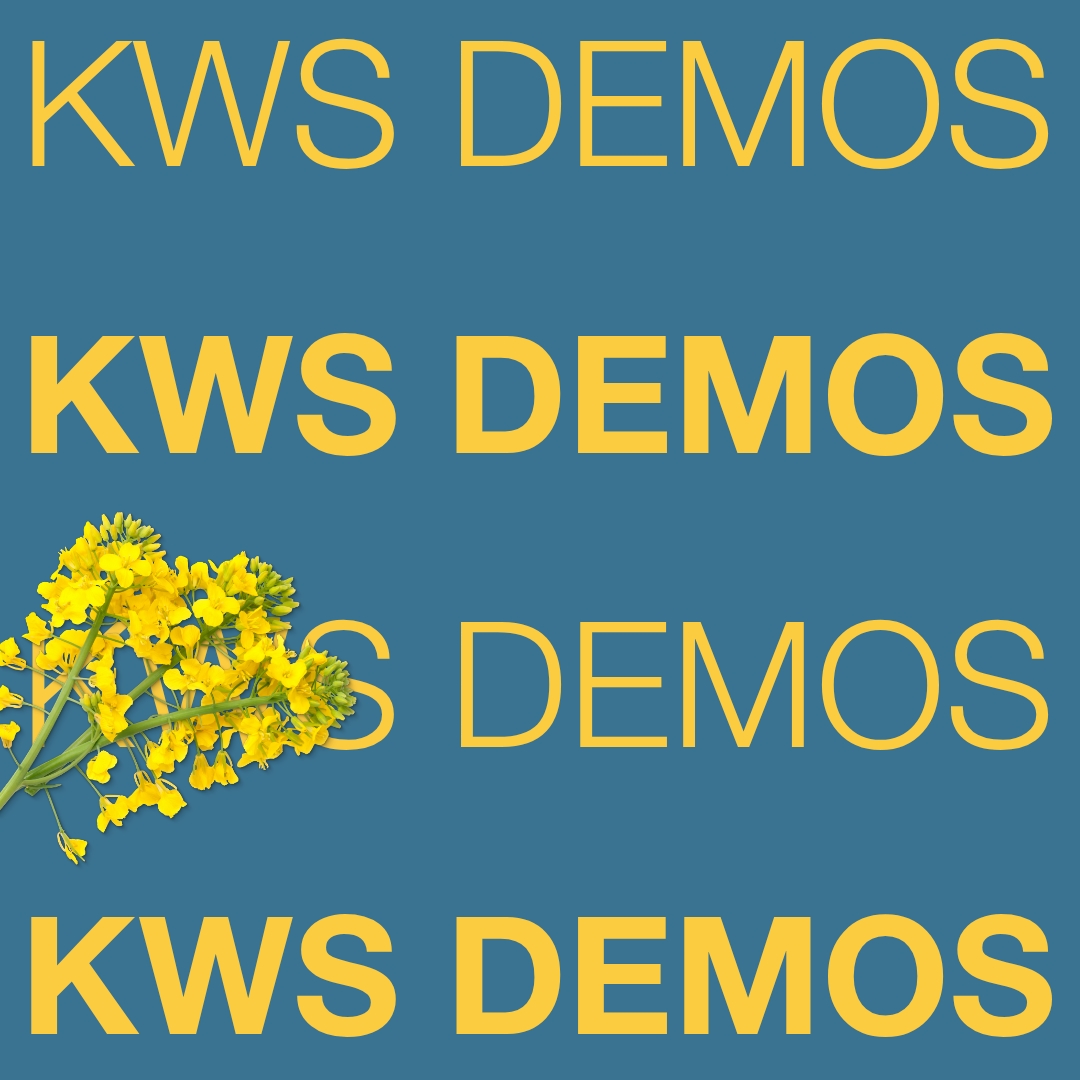 kws_demos_keyvisual_hu_1x1_1.jpg