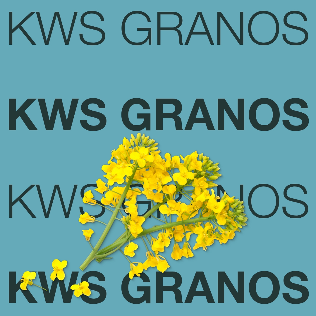 kws_granos_keyvisual_hu_1x1_new.jpg