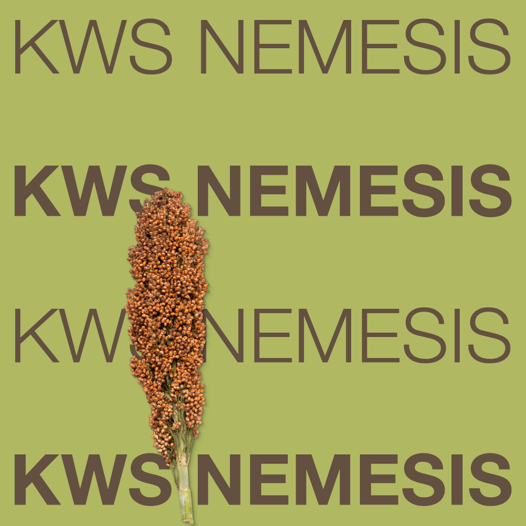 kws_nemesis_keyvisual_hu_1x1_1.jpg