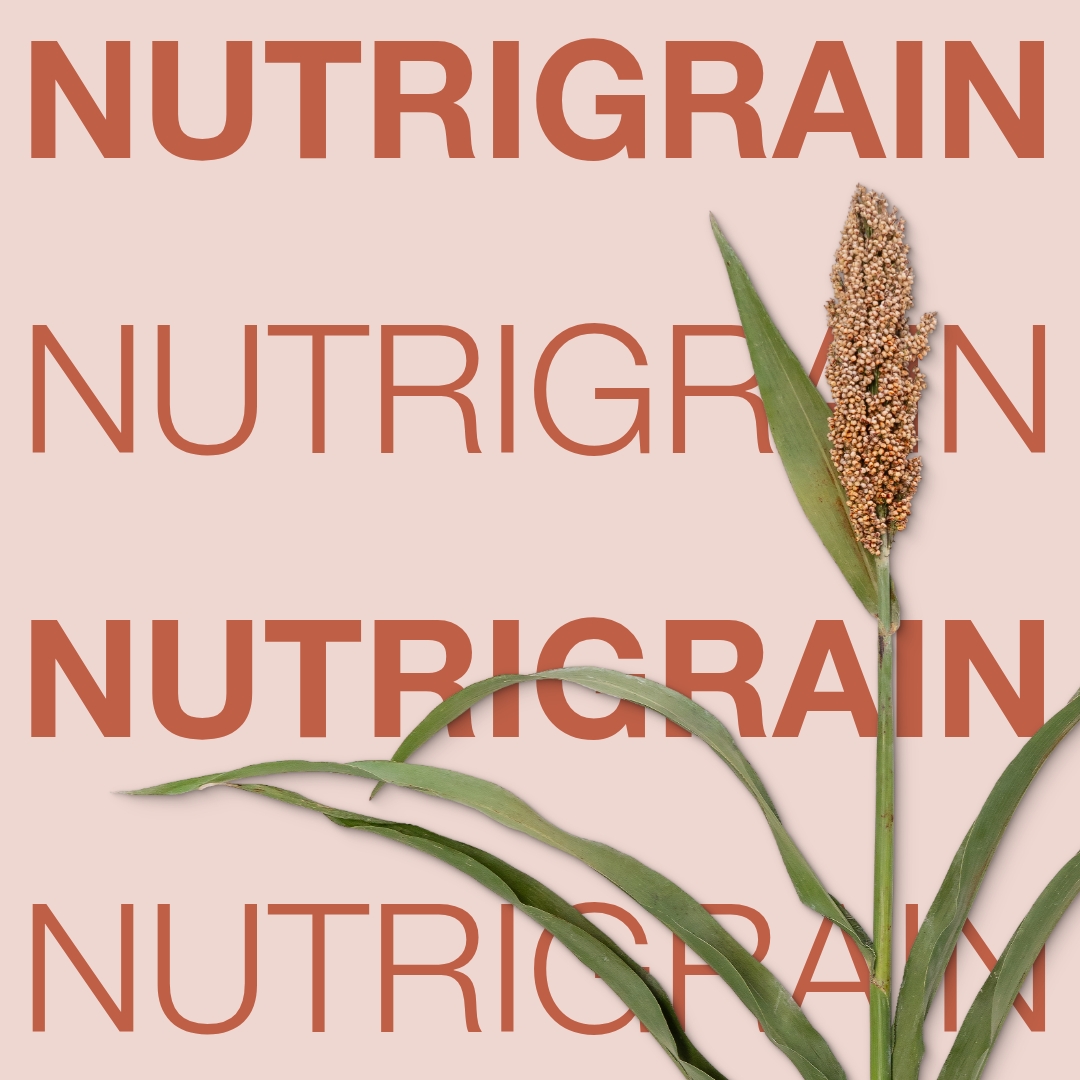 nutrigrain_keyvisual_hu_1x1.jpg