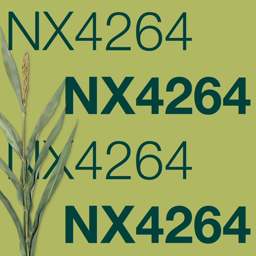 nx4264_keyvisual_hu_1x1_1.jpg