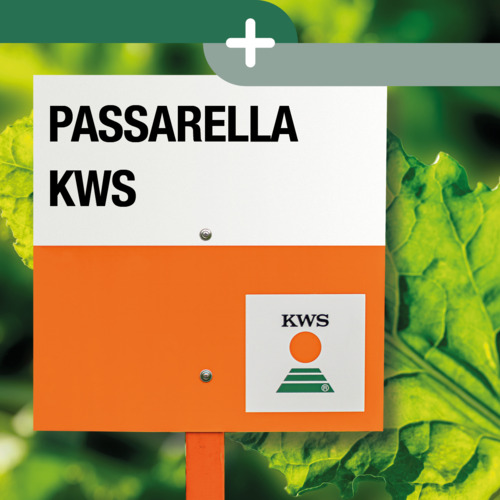 PASSARELLA-KWS_keyvisual_HU.jpg