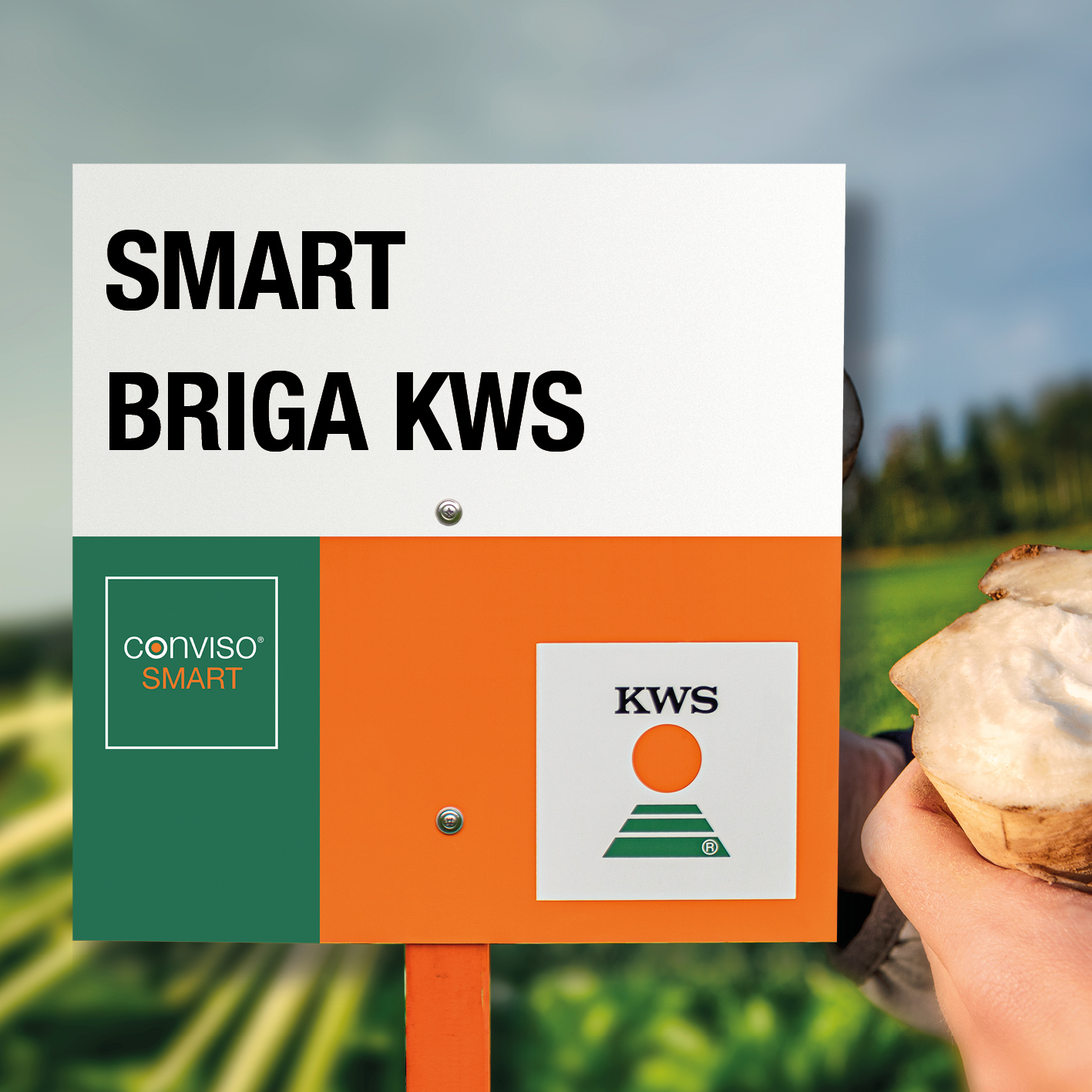 SMART-BRIGA-KWS.jpg