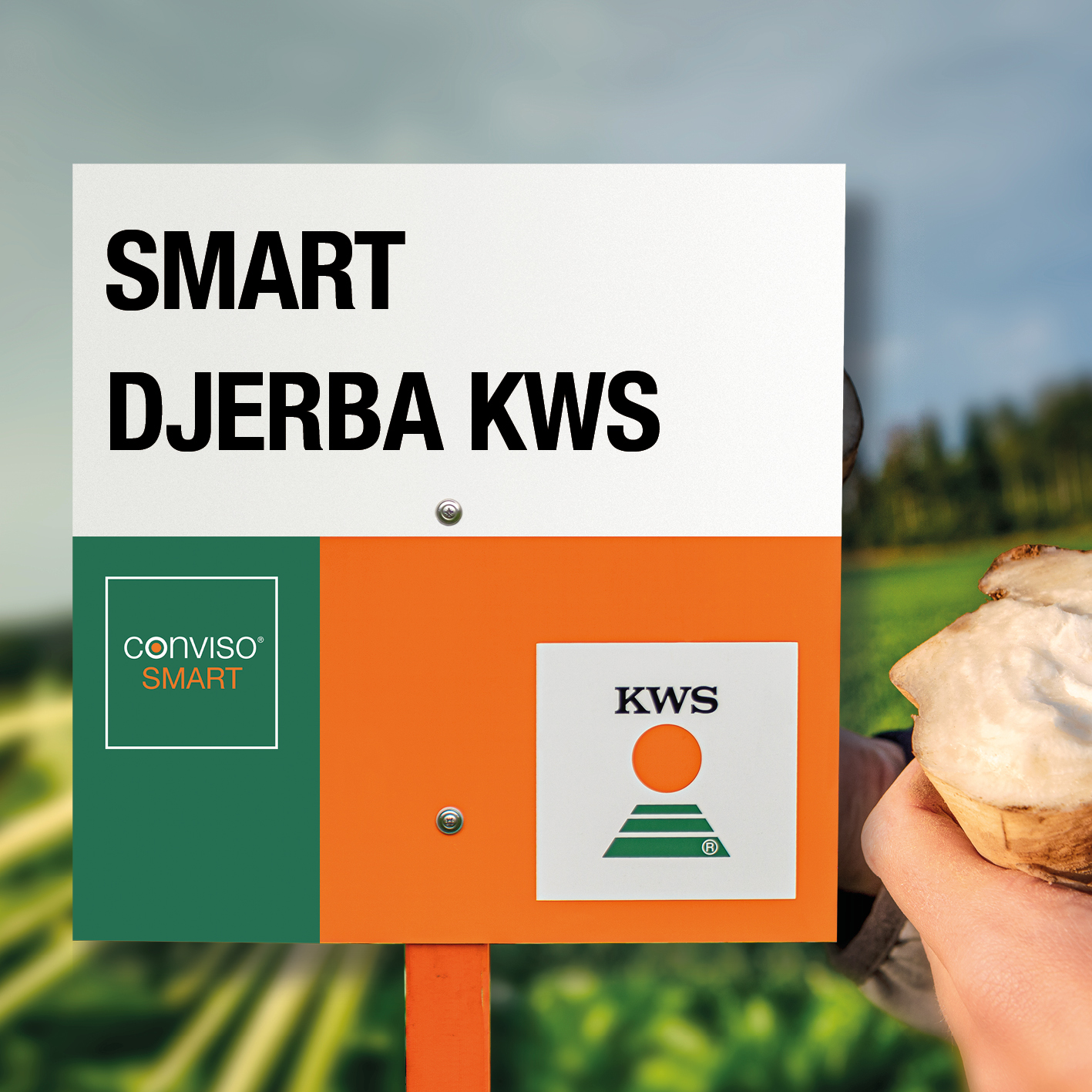 SMART-DJERBA-KWS.jpg