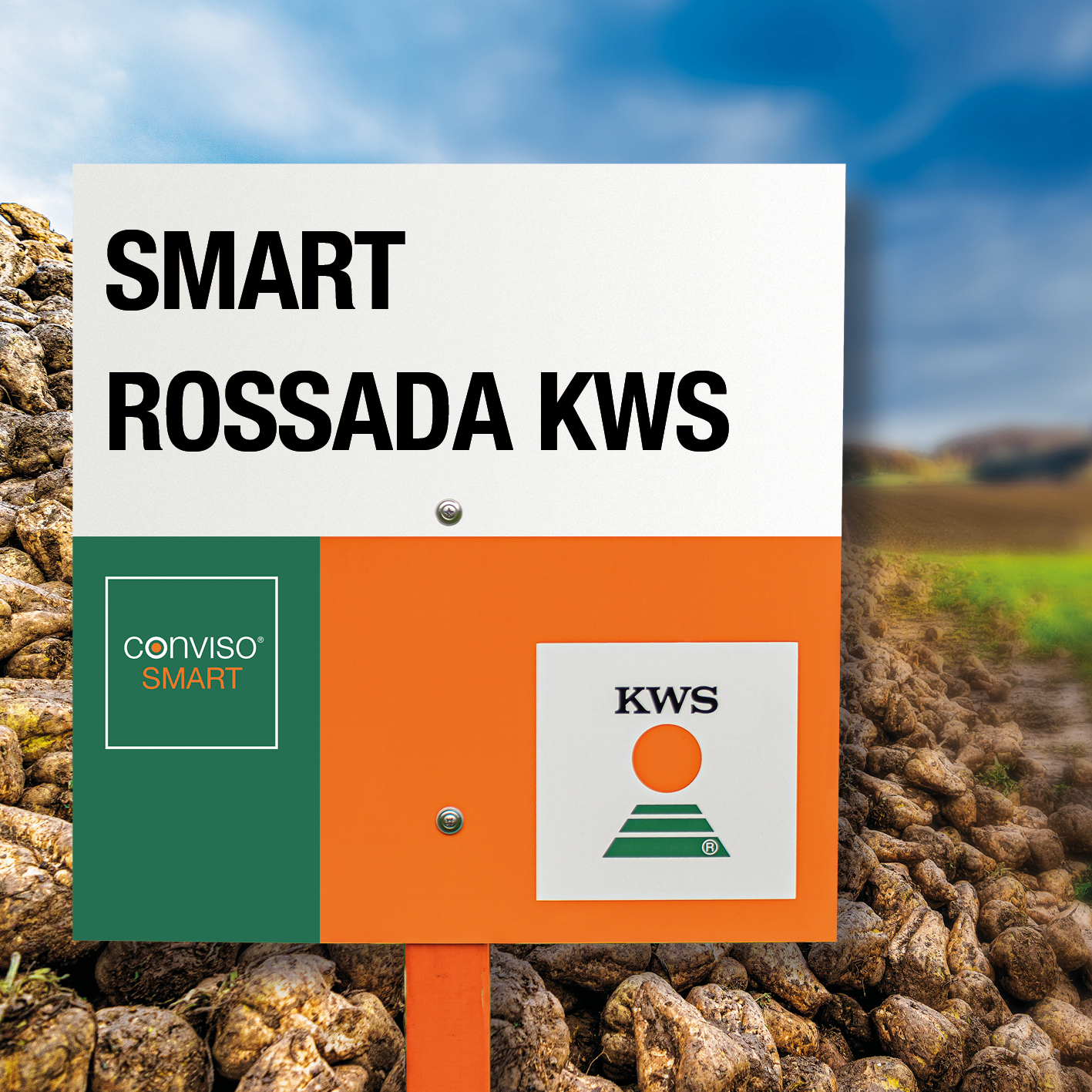 SMART-ROSSADA-KWS.jpg