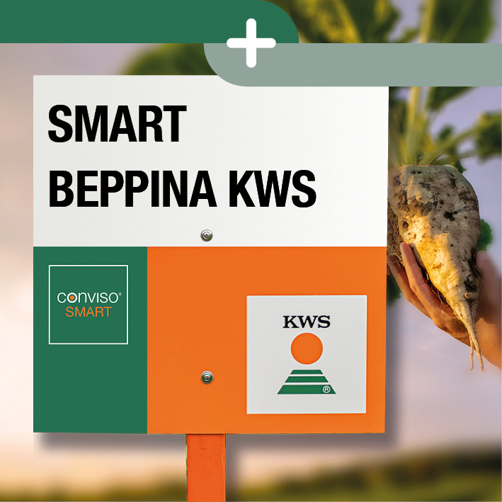 SMART_BEPPINA_KWS_visual.jpg