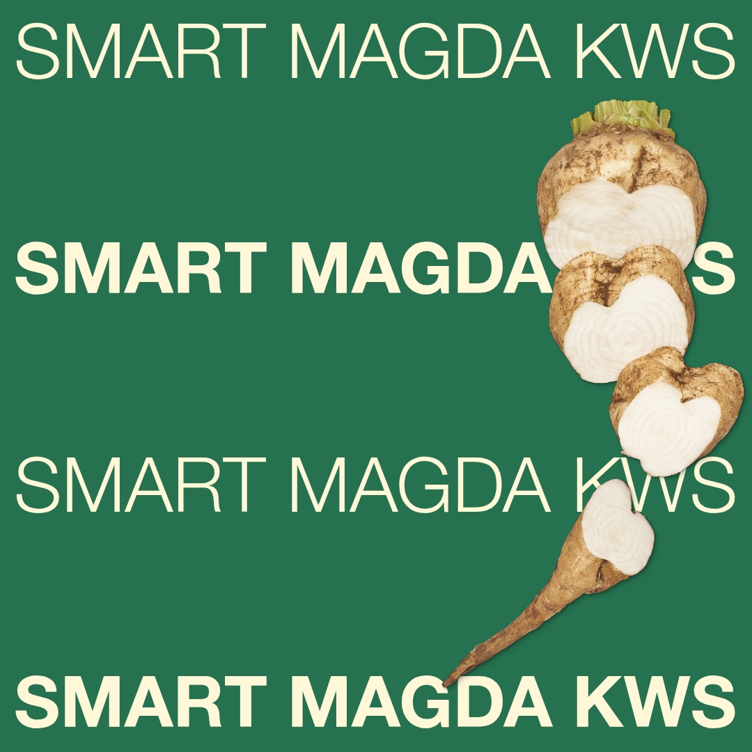 smart_magda_kws_keyvisual_hu_1x1_1.jpg