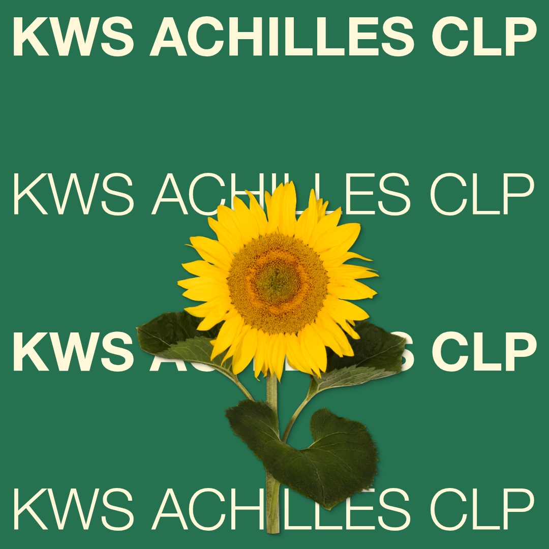 kws_achilles_clp_keyvisual_hu_1x1_1.jpg