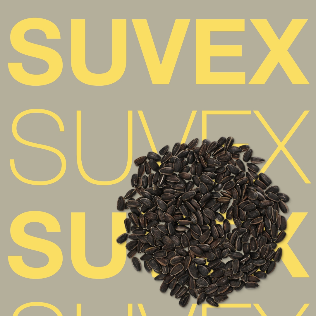 suvex_keyvisual_hr_1x1_1.jpg