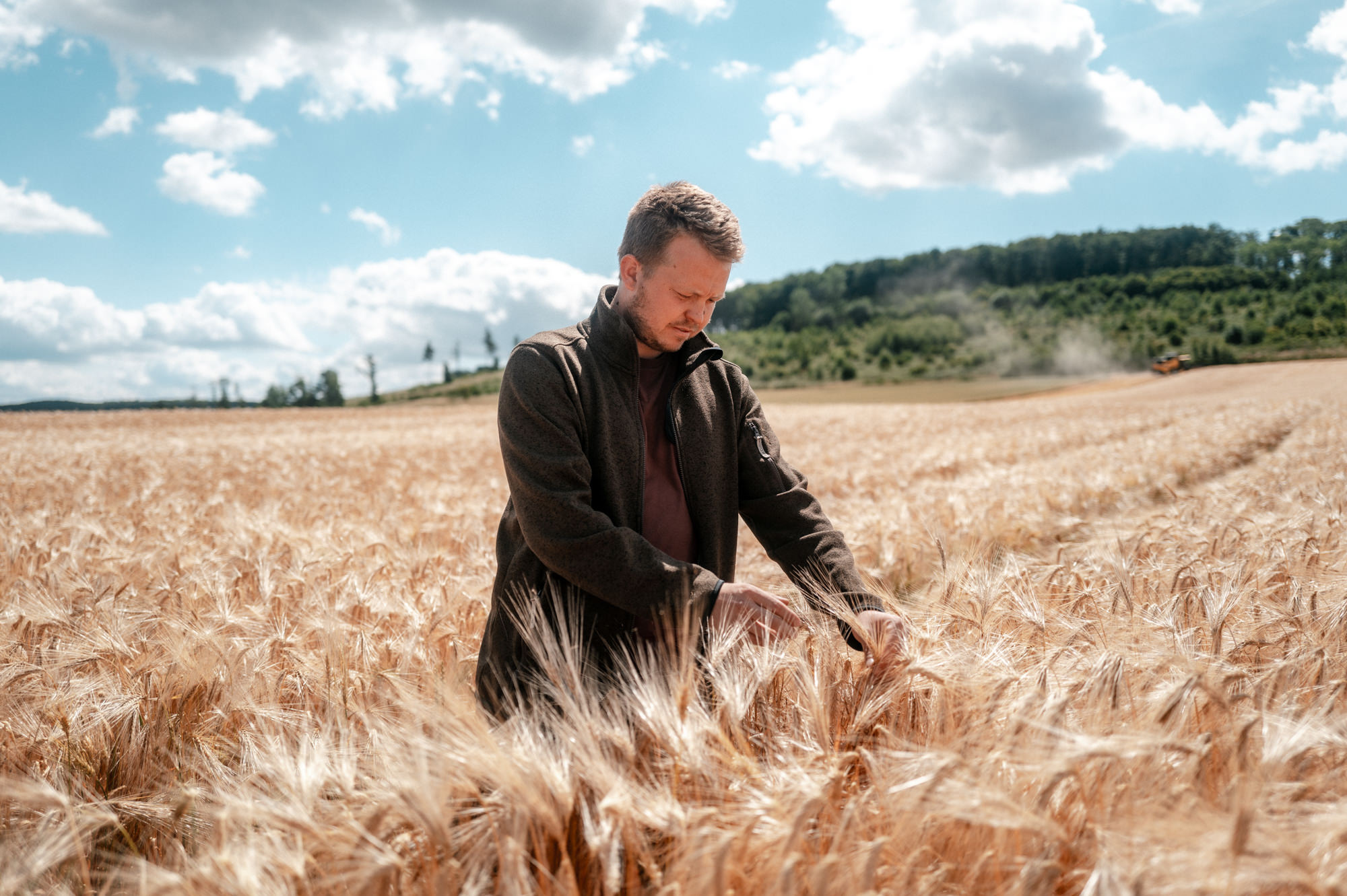 HybridBarley_NextLevel_Higher-Yield-Nr1.jpg