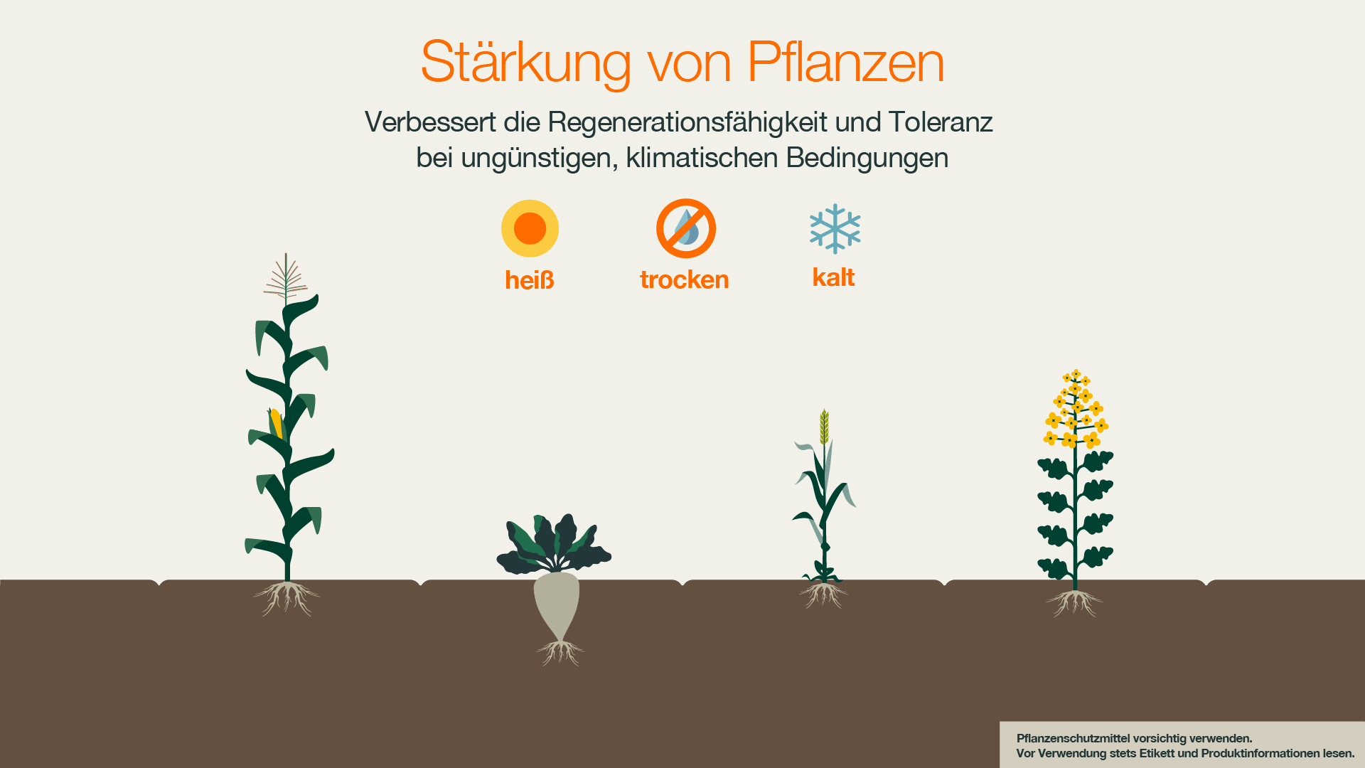 KWS_INITIO_Stärkung-von-Pflanzen_2.jpg