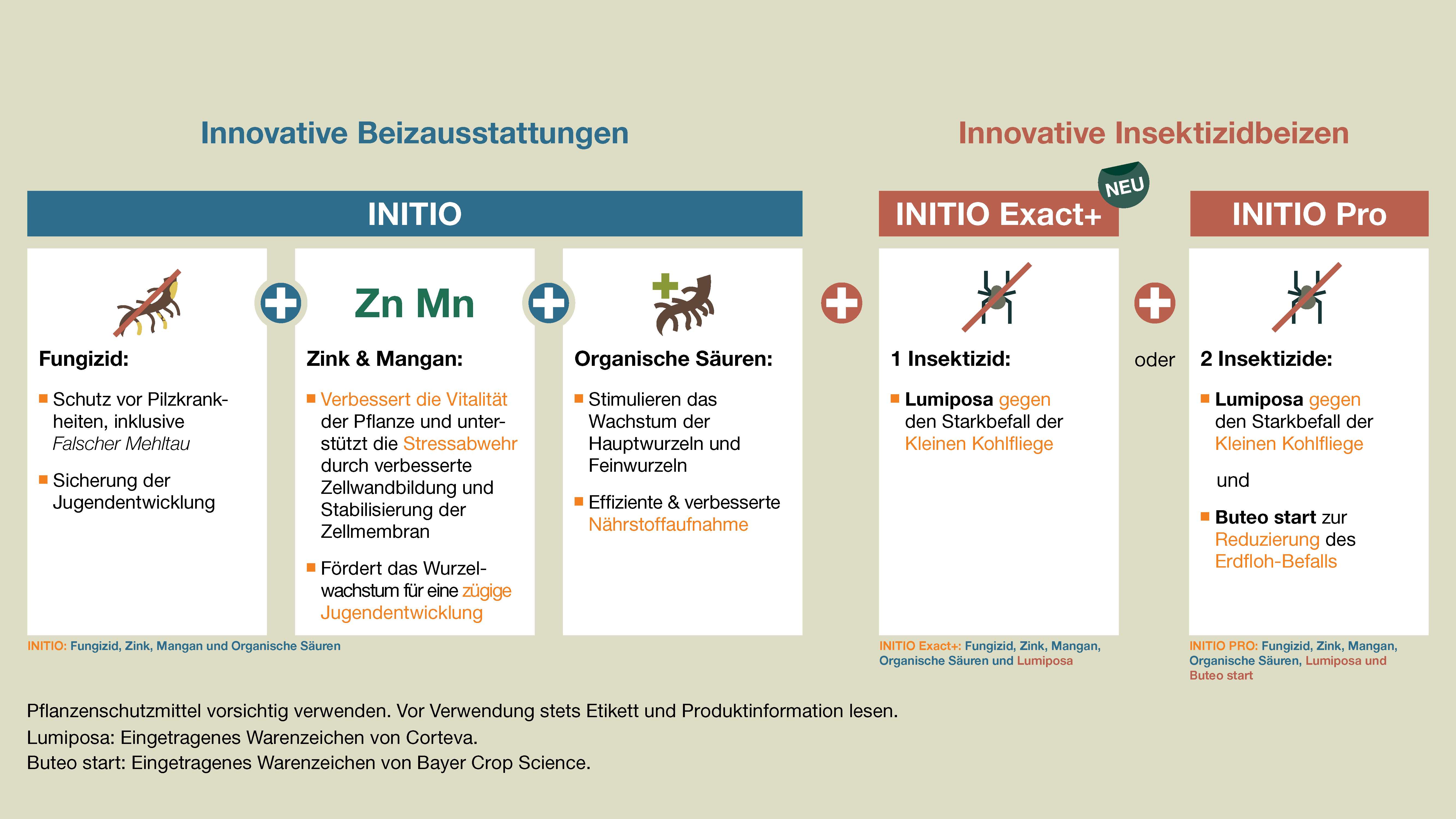 Innovative Beizausstattungen KWS Raps