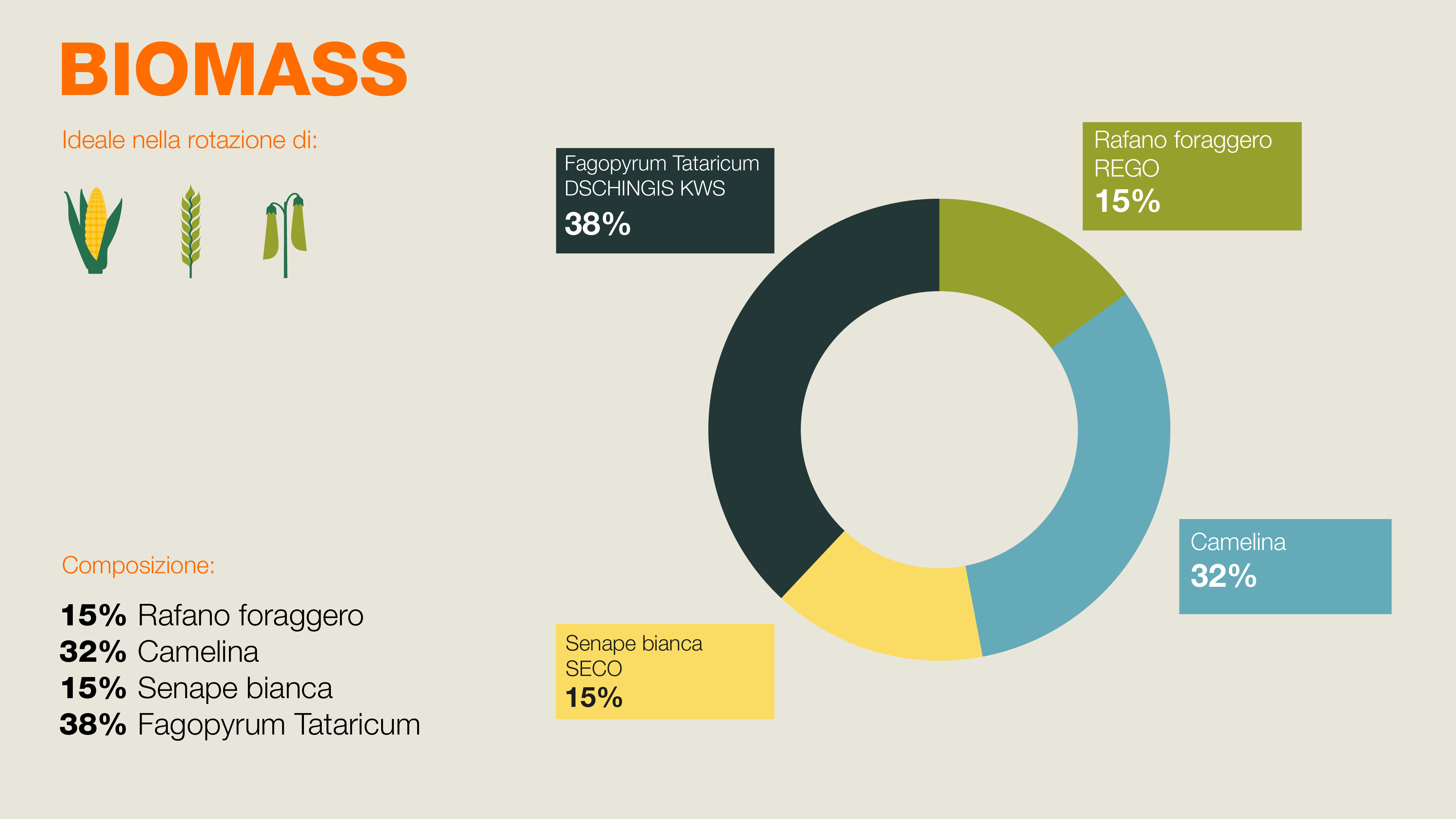 Composizione di BIOMASS - 15% rafano foraggero, 32% Camelina, 15% Senape bianca, 38% Fagopyrum Tataricum