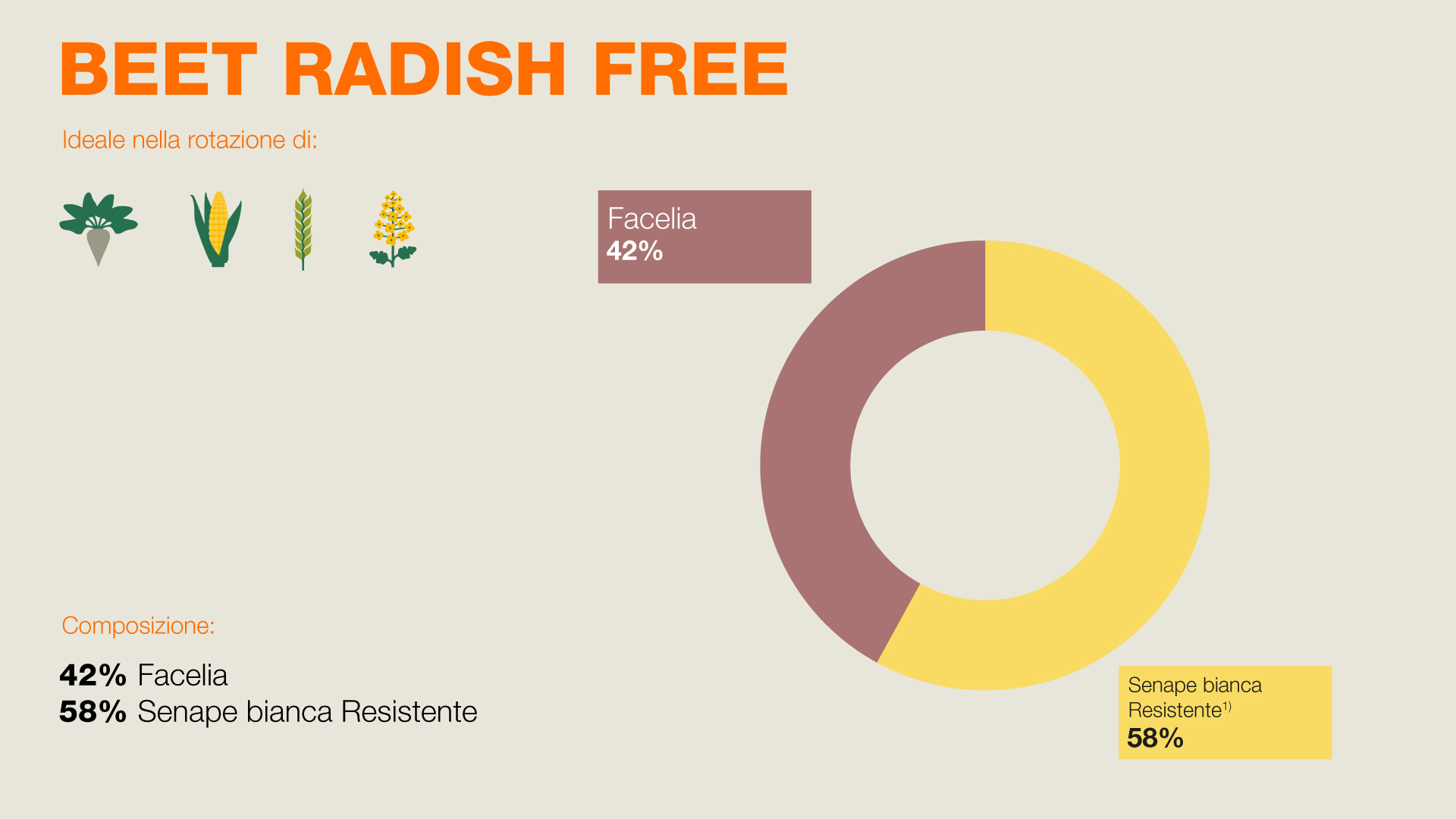 Composizione di BIOMASS - 15% rafano foraggero, 32% Camelina, 15% Senape bianca, 38% Fagopyrum Tataricum