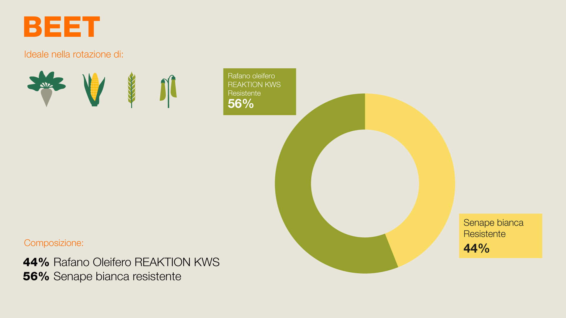 Composizione di BIOMASS - 15% rafano foraggero, 32% Camelina, 15% Senape bianca, 38% Fagopyrum Tataricum