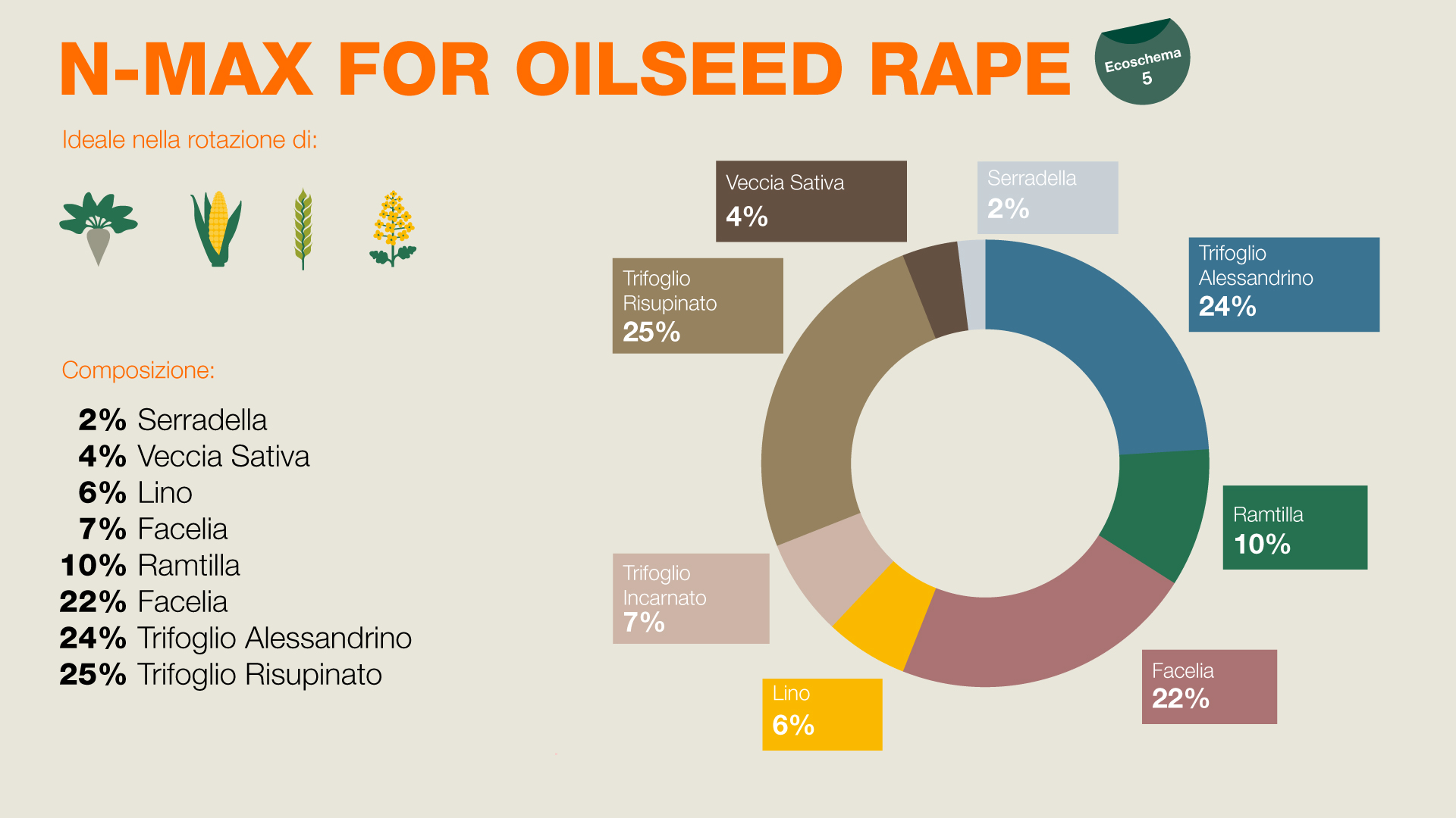 Composizione di BIOMASS - 15% rafano foraggero, 32% Camelina, 15% Senape bianca, 38% Fagopyrum Tataricum