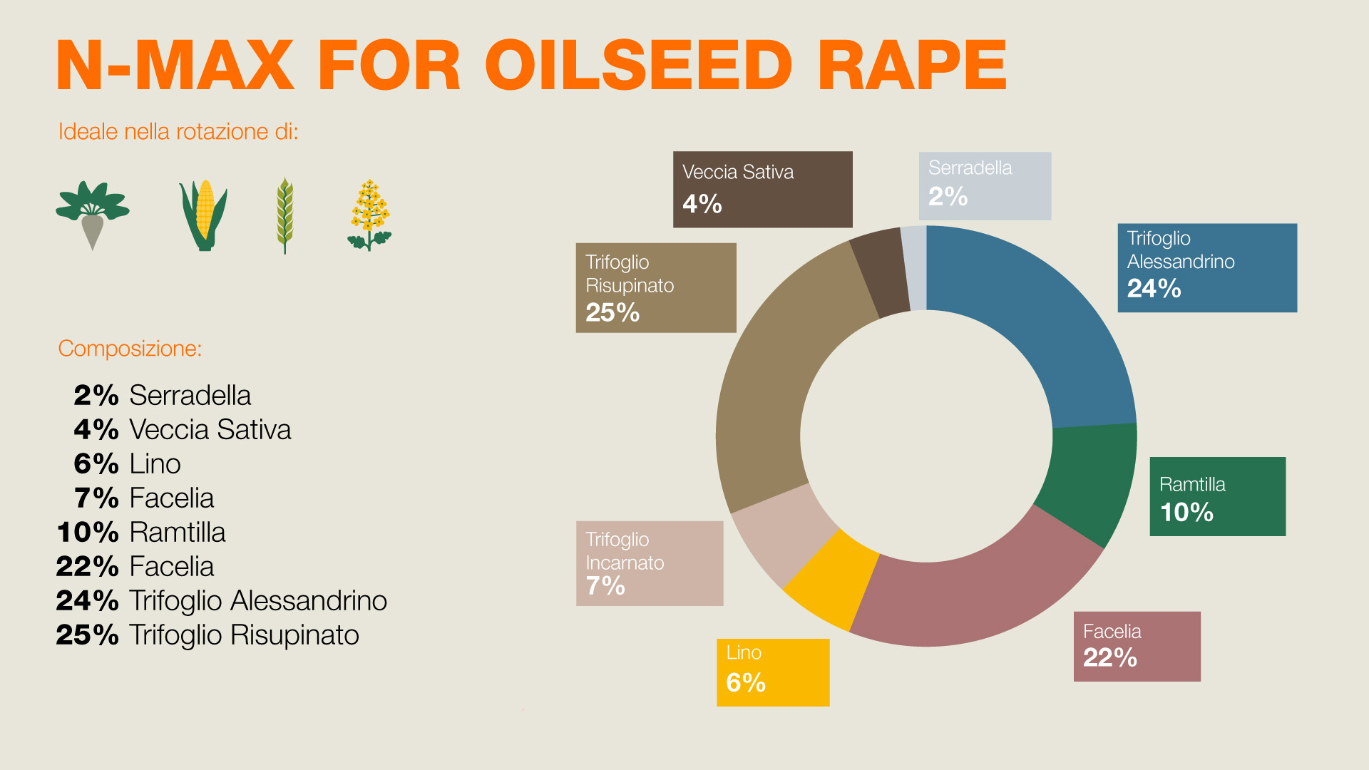 Composizione di BIOMASS - 15% rafano foraggero, 32% Camelina, 15% Senape bianca, 38% Fagopyrum Tataricum