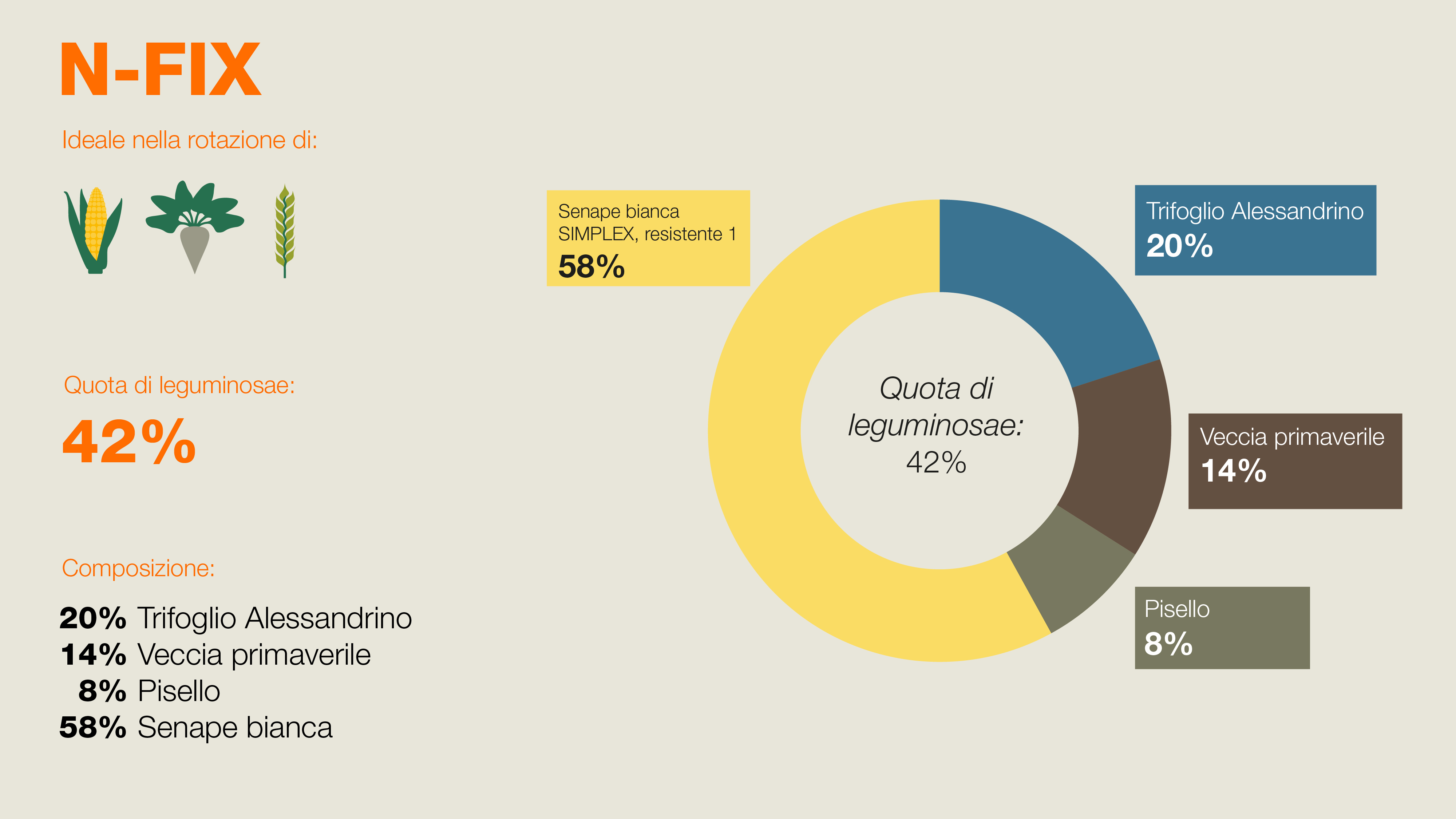 Composizione di BIOMASS - 15% rafano foraggero, 32% Camelina, 15% Senape bianca, 38% Fagopyrum Tataricum