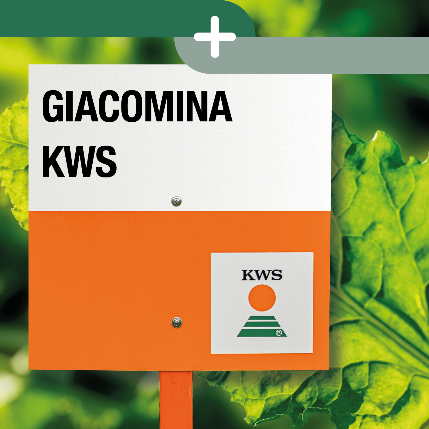 GIACOMINA_KWS_IT.jpg