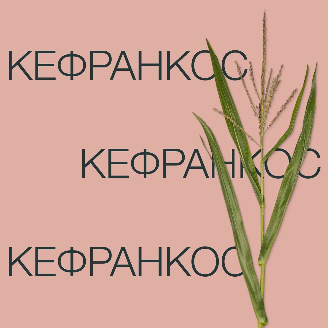 kefrankos_keyvisual_kg_1x1_1.jpg