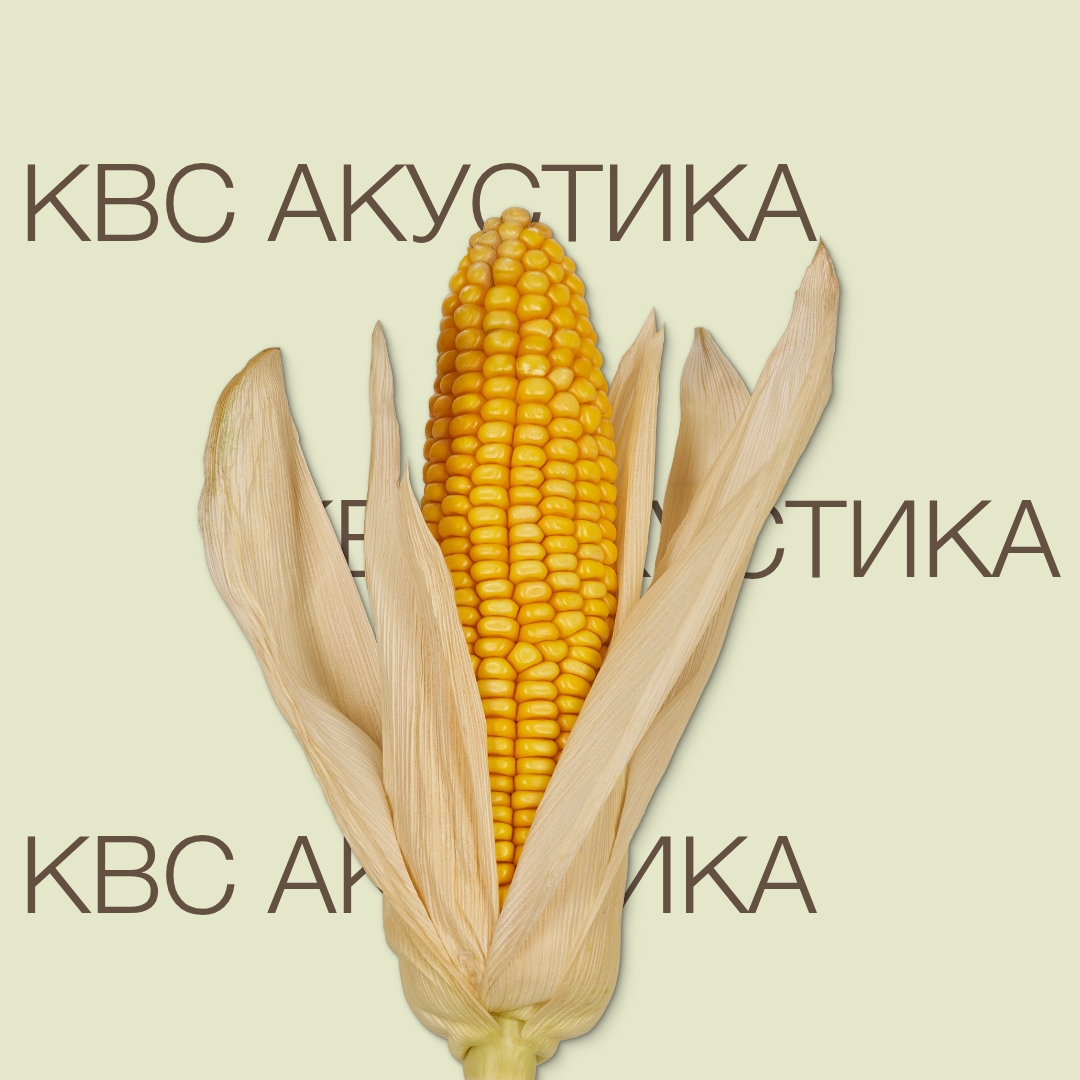 kvs_akustika_keyvisual_kg_1x1_1.jpg