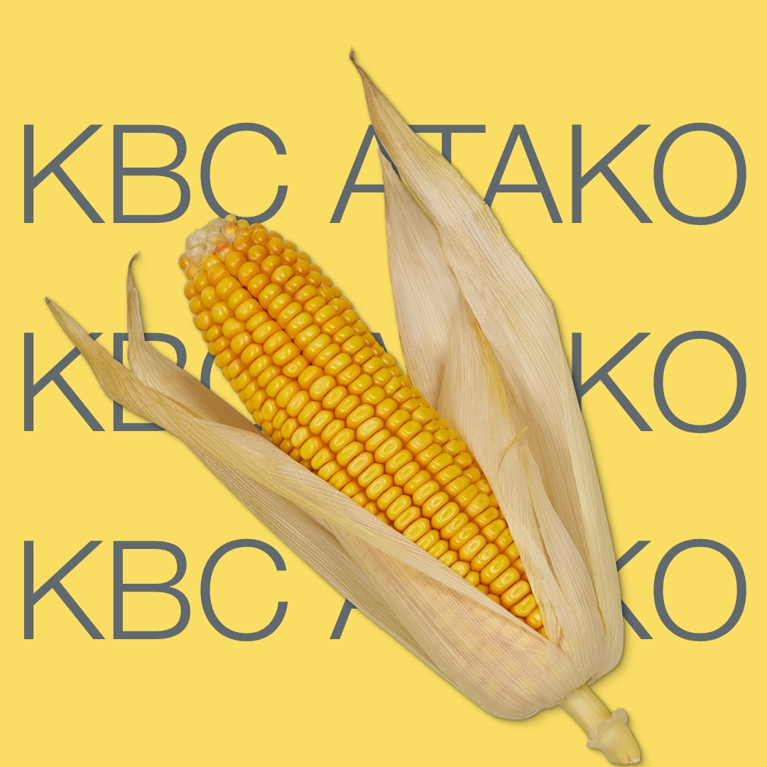 kvs_atako_keyvisual_kg_1x1_1.jpg